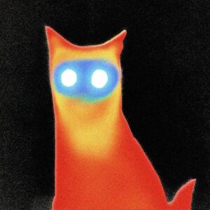 Wired - The Basement (Discos de Vinil)