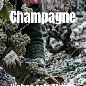 Vinhos pelo Mundo: Champagne - Musumeci, Bernardo (Vinhos)