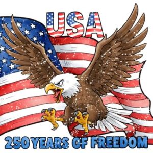 Adesivo 250th Anniversary Bald Eagle of the United Conjunto de 2 peças de adesivos de vinil à prova d'água de 14 cm, adequado para carros, motocicletas, janelas, laptops, fácil de colar, rasgar e não (Discos de Vinil)