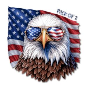 IMPERIAL VIBES - Adesivo American Eagle - Decalque de vinil para iPad - Adesivo impermeável para garrafa de água - Decalque para carro, laptop e bebedouro - Ótimo para uso interno e externo - Pacote (Discos de Vinil)