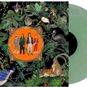 Amazing Things - Green Marble - Don Broco (Discos de Vinil)