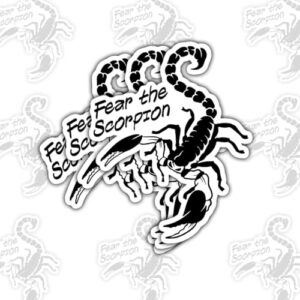 3 adesivos Fear the Scorpion, decalques de vinil com citação de animais perigosos ousados para laptop, caderno, diário, garrafa de água, para-choque de carro, presente engraçado para adolescentes (Discos de Vinil)