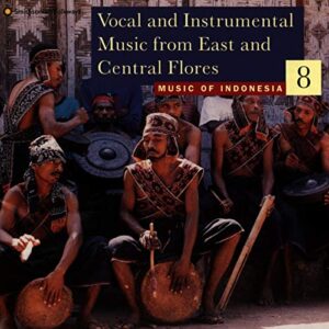 Music from Indonesia 8 - Various Artists (CDs)