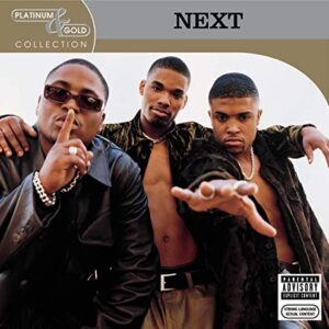 Platinum & Gold Collection - Next (CDs)