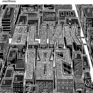 Blink-182 - Neighborhoods: Guitar Recorded Versions - Blink 182 (Discos de Vinil)