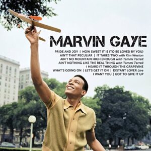 Icon - Gaye, Marvin (CDs)