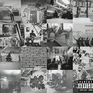 119 - Trash Talk (CDs)