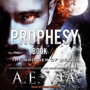 Prophesy: Book II: The Bringer of Wrath: 2 - Via, A E (CDs)