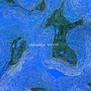 834.194 - SAKANACTION (CDs)