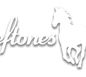 Printbeat Adesivos de vinil Deftones Pony para carros, vans, caminhões e laptops (branco 10 x 21 cm) (Discos de Vinil)