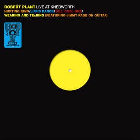 LIVE AT KNEBWORTH 1990 (RSD) (Discos de Vinil)