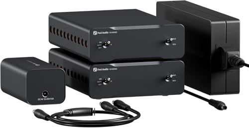 Fosi Audio Two V3 Mono Amplificador de Potência Mono 240W Classe D AMP com Chip TPA3255, Entradas Balanceadas RCA/XLR, Potência 48V/10A, para Alto-Falantes de Áudio Doméstico e Home Theater (Equipamentos)