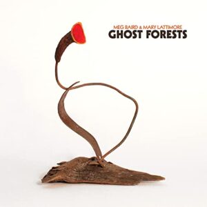 GHOST FORESTS (GREEN VINYL/DL CARD) (Discos de Vinil)