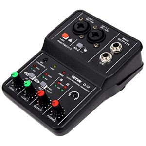 Cartão de som profissional Mixer de áudio Monitorando a gravação ao vivo da guitarra elétrica para canto de estúdio,Misturador De áudio (Color : TEYUN Q-12) (Equipamentos)
