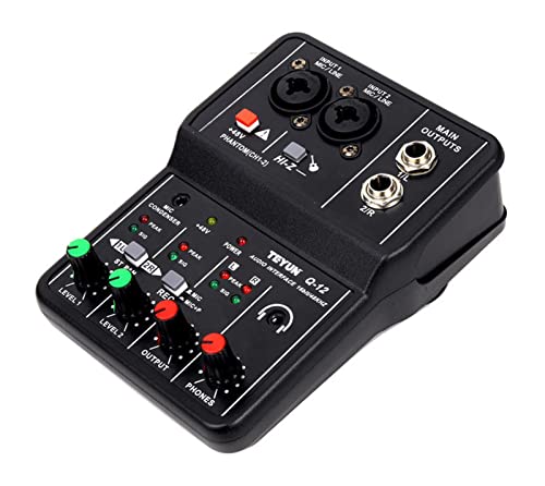 Cartão de som profissional Mixer de áudio Monitorando a gravação ao vivo da guitarra elétrica para canto de estúdio,Misturador De áudio (Color : TEYUN Q-12) (Equipamentos)