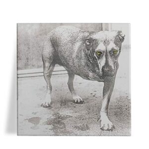Azulejo Decorativo Alice in Chains 15x15 (Discos de Vinil)