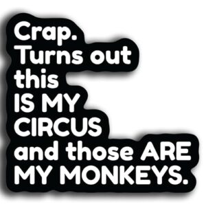 Adesivo de vinil This is My Circus and Those are My Monkeys – Humor engraçado da vida da mãe – 12 cm à prova d'água para carros, laptops, copos - KCD4072 (Discos de Vinil)