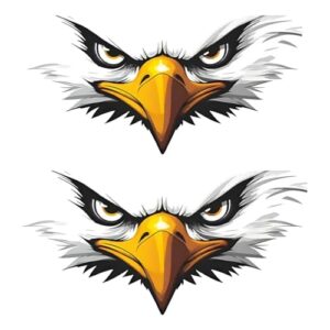 Adesivos de decalque de carro Eagle Face, vinil, impermeável, 15 x 8 cm, pacote com 2, para para-choques, laptop, vidro, parede, #CY014 (Discos de Vinil)