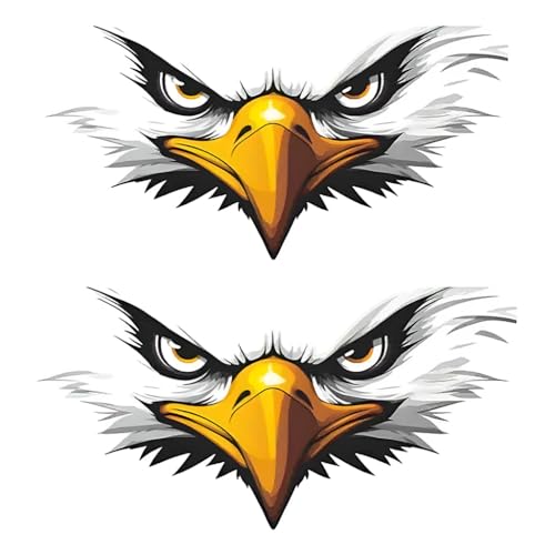 Adesivos de decalque de carro Eagle Face, vinil, impermeável, 15 x 8 cm, pacote com 2, para para-choques, laptop, vidro, parede, #CY014 (Discos de Vinil)