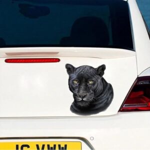 Adesivo de decalque de carro Pantera Negra, vinil, design animal realista, 15 cm, para para-choques, laptop, vidro e paredes, conjunto de 2 peças #A106A (Discos de Vinil)
