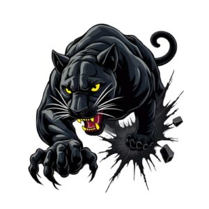 Adesivos de carro Pantera Negra, decalques removíveis à prova d'água para carros, motocicletas, laptops, capacetes de janelas, 14 x 12 cm, pacote com 2 YC-0125 (Discos de Vinil)