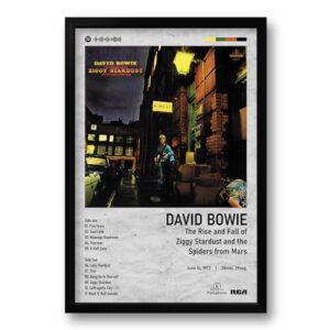 Quadro Álbum The Rise and Fall of Ziggy Stardust and the Spiders from Mars - David Bowie - 40x60cm (Discos de Vinil)