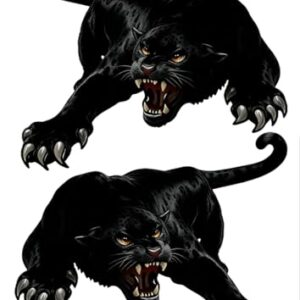 Adesivos de carro Fierce Dark Panther, 2 peças adesivos de vinil à prova d'água de 15 x 12 cm, adequados para carros, motocicletas, laptops, fáceis de colar e remover sem deixar marcas MY-079 (Discos de Vinil)