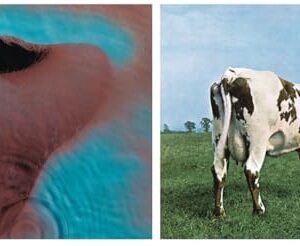 Atom Heart Mother / Meddle (2 Vinyl Bundle) - Pink Floyd (Discos de Vinil)