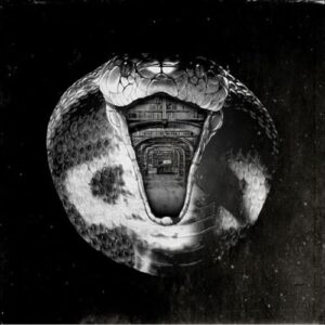 Genius Killer - The Mommyheads (Discos de Vinil)