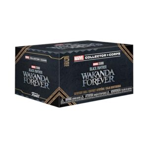 Funko Marvel Collector Corp Subscription Box: Black Panther: Wakanda Forever- M (Discos de Vinil)