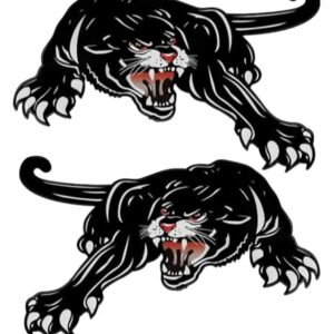Adesivos de decalque Panther para capô de carro, vinil, 24 x 14 cm, pacote com 2, para para-choques, laptop, vidro e paredes #A126A (Discos de Vinil)
