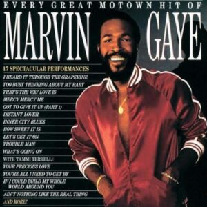 Marvin Gaye - Every Great Motown Hit of Marvin Gaye [Audio CD][CD] - marvin gaye (CDs)