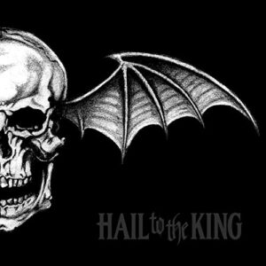 Hail to the King - Avenged Sevenfold (CDs)
