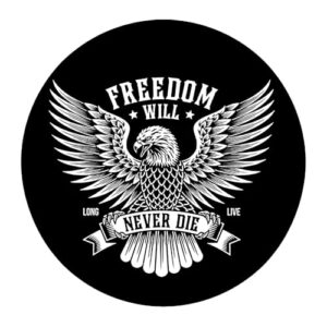 2 adesivos de vinil Freedom Eagle à prova d'água para carros, caminhões, para-choques, motocicletas, laptops, decoração de parede A-35 (Discos de Vinil)