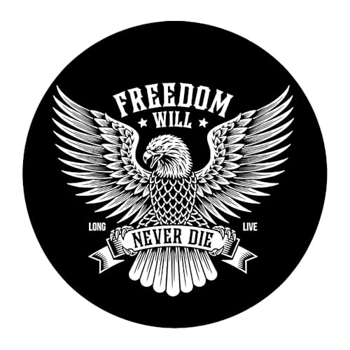 2 adesivos de vinil Freedom Eagle à prova d'água para carros, caminhões, para-choques, motocicletas, laptops, decoração de parede A-35 (Discos de Vinil)