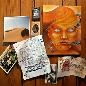 Fireball of Sulk - BUFFALO KILLERS (Discos de Vinil)