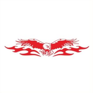 SundiooK Adesivo de vinil DIY Bald for Eagle para carro para capô de caminhão, emblema de decalque gráfico de animais, fácil aplicação (Discos de Vinil)