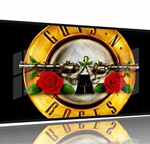 Quadro Decorativo Banda Guns N Roses 130x60 Moldura Preta 2x2 (Discos de Vinil)