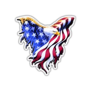 Adesivo de vinil American Bald Eagle com bandeira dos EUA, 12 x 12 cm, decalque à prova d'água para laptop | Windows | tablet | carro | caminhão | garrafa de água (Discos de Vinil)