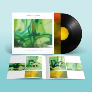 Lost in Another World - James Ellis Ford (Discos de Vinil)