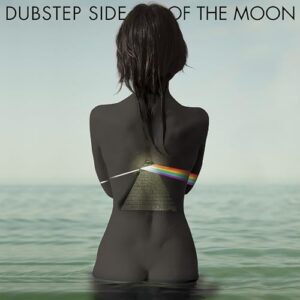 DUBSTEP SIDE OF THE MOON - Various Artists (Discos de Vinil)