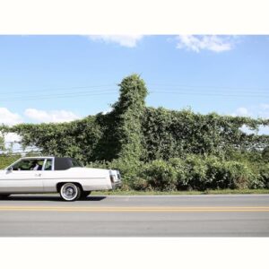 WHEN I GO I GHOST - Cory Branan (Discos de Vinil)