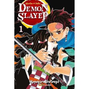 Demon slayer - kimetsu no yaiba vol. 1 - Koyoharu Gotouge (Discos de Vinil)
