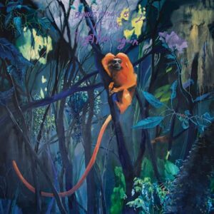 We Are Together Again - Bonnie Prince Billy (Discos de Vinil)