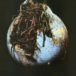 Drosselbart [VINYL] - Drosselbart (Discos de Vinil)