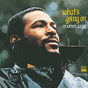 What's Going On [Disco de Vinil] (Discos de Vinil)
