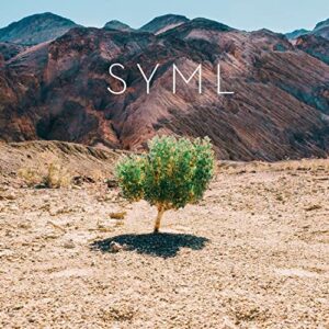 Syml - In My Body - Syml (Discos de Vinil)