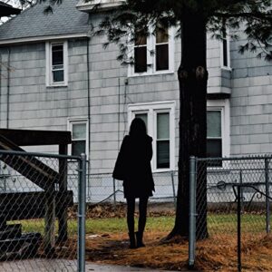 Dark Bird Is Home [Disco de Vinil] - The Tallest Man on Earth (Discos de Vinil)