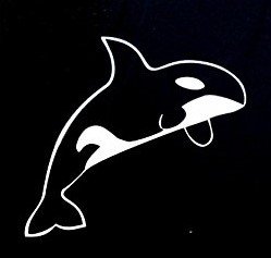 Creative Concept Ideas Adesivo de vinil Orca Killer Whale |Laptop Carros Caminhões Vans Paredes | Branco |14 x 12,7 cm | CCI844 (Discos de Vinil)