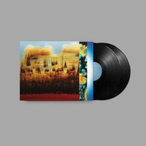 Distance in Static - Bonobo (Discos de Vinil)